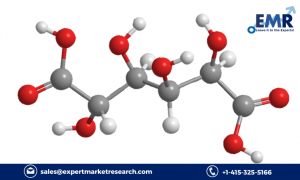 Glucaric Acid Market Size, Share, Growth, Report, and Forecast 2024-2032