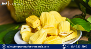 Jackfruit Market Price, Share, Size, Growth, Forecast and Report 2024-2032